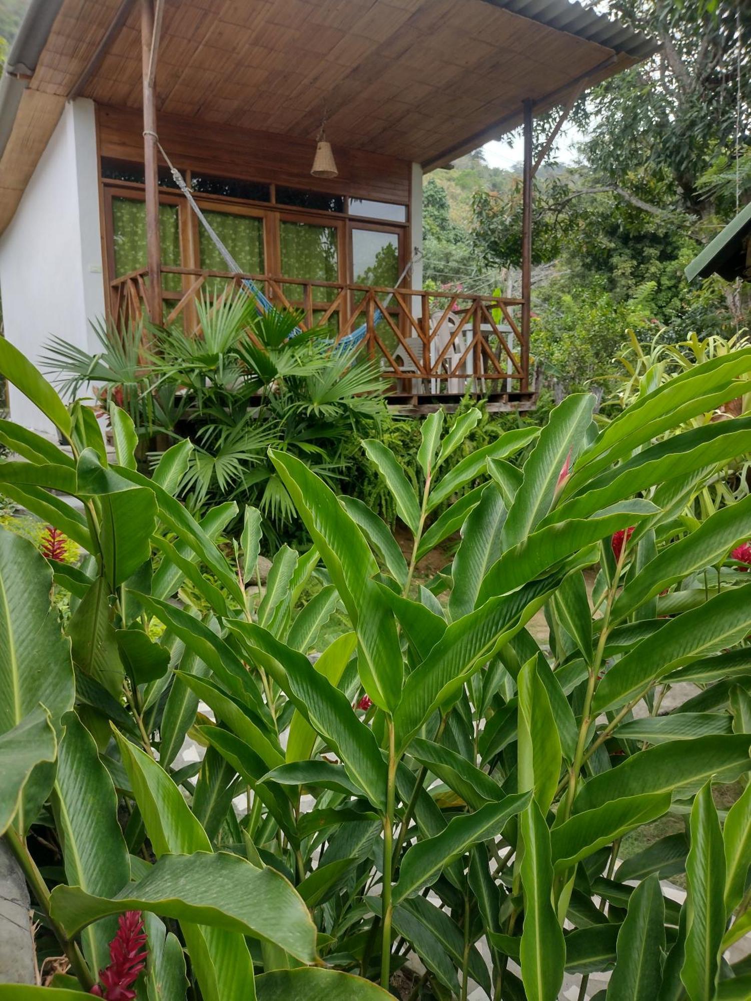 אל סאינו Kankui Lodge מראה חיצוני תמונה